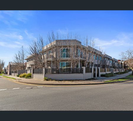 193 Mawson Lakes Boulevard, Mawson Lakes, SA 5095 - Photo 2