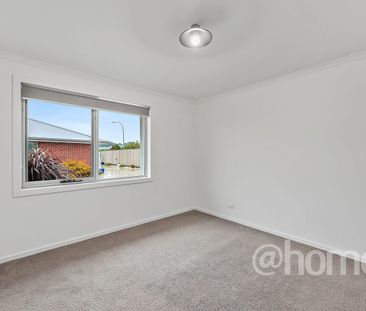 Sunny on Sundowner! - Photo 5