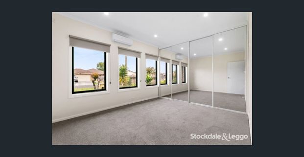 Fresh As A Daisy - Photo 1