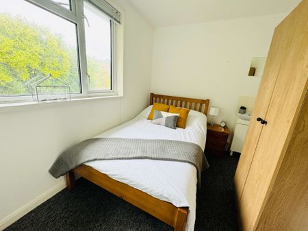 A Comforting 6 Double Bedrooms for Rent in Brighton Room 5 - Photo 3