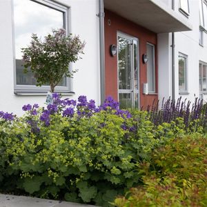 Torggatan 3 - Foto 2