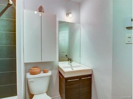 Appartement à louer - Montréal (Saint-Laurent) (Autres) - Photo 4
