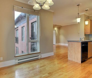 Condo for rent, Montréal (Ville-Marie) - Photo 5