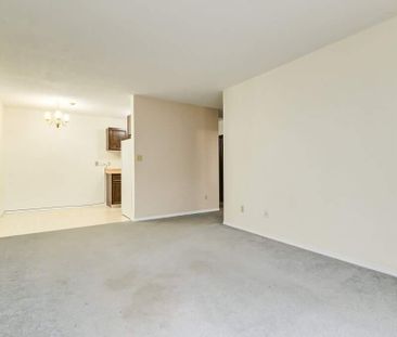 Renovated Suite - 2 Bedroom - Photo 5