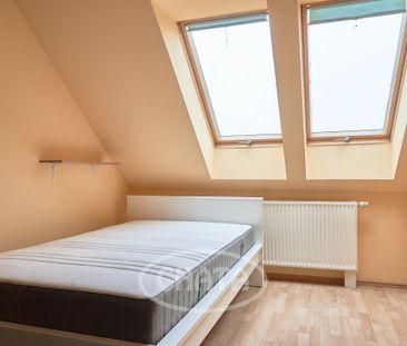 Szereg w Bielanach Wrocławskich - Zdjęcie 2