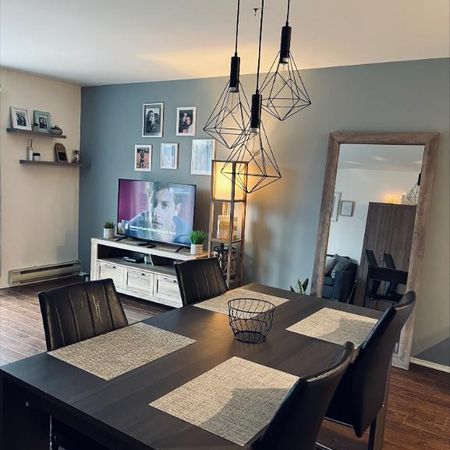 P.E. Trudeau grand 3 1/2 - Photo 3