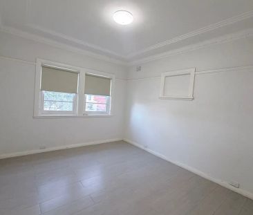 Newly Renovated Family Home in Popular School Catchment - Photo 5