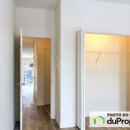 301-120 rue du Doré-Jaune, Terrebonne (Lachenaie) à louer - Photo 3