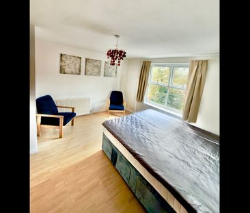 2 Bed Flat, Gell Street, S3 - Photo 3
