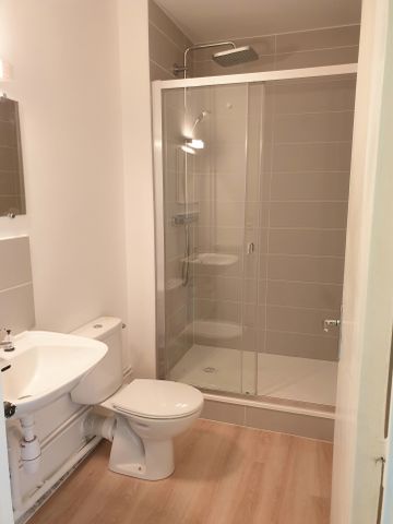 Location Appartement 1 pièce 30m² CLERMONT FERRAND 63000 - Photo 5