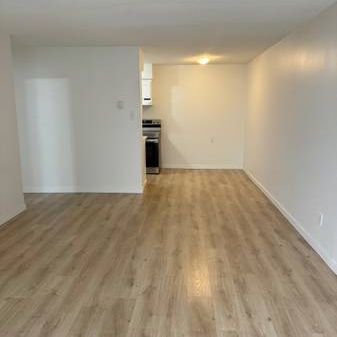 Large 1 bedroom, 1 bath apartment - Photo 4