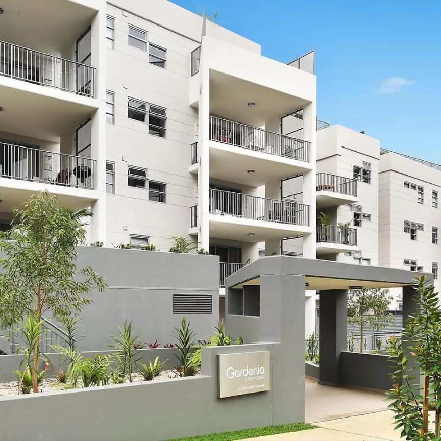 6/62 Gordon Crescent, Lane Cove NSW 2066 - Apartment For Rent | Domain - Photo 1