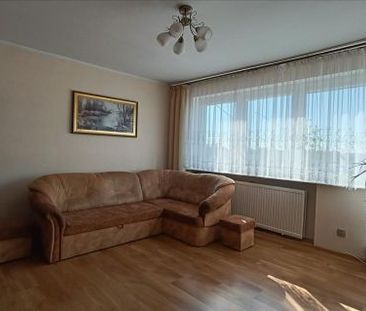 Żeromskiego, Działdowo - Zdjęcie 4