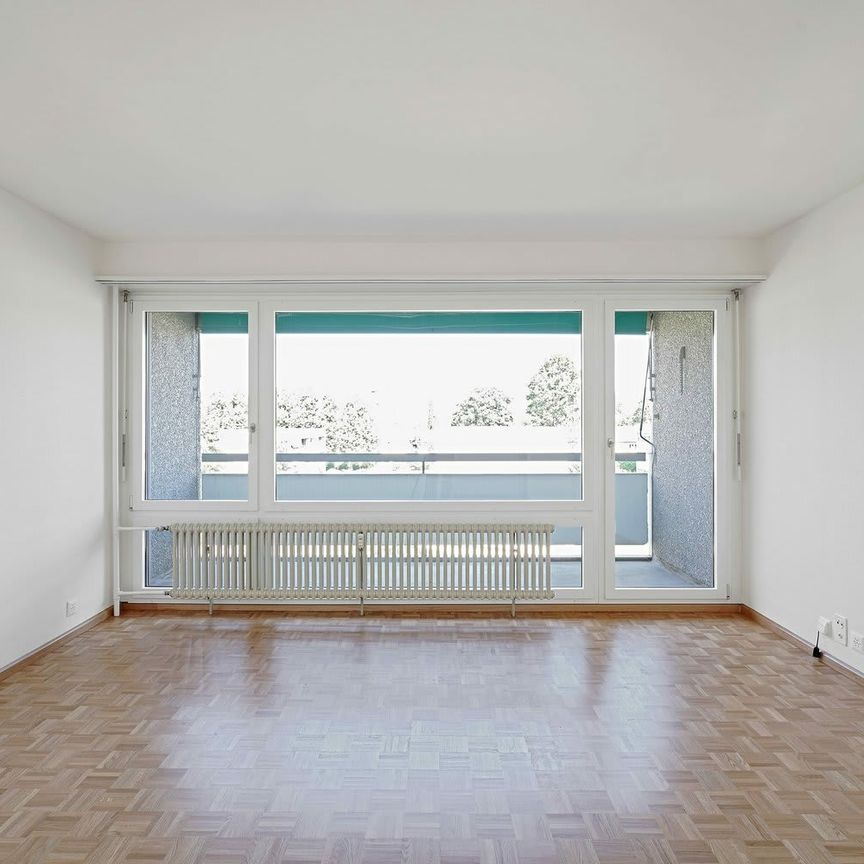 3 Zimmer, 69 m², 2. Stock - Foto 1