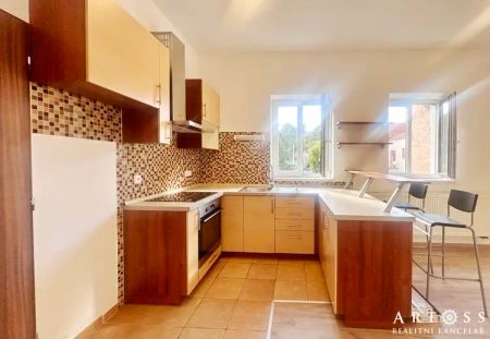 (M16) Pronájem krásného bytu 1+kk, Mostecká ul., Brno Husovice, 32 m - Photo 3