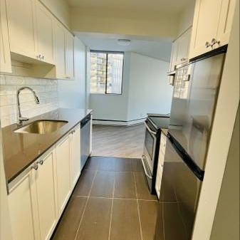 Pet Friendly 1BR/1BA in Burnaby. Spacious, Near SFU, Skytrain, Mall - Photo 4