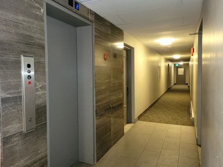 Sharon Garden Suites - ALL INCLUSIVE - Photo 3