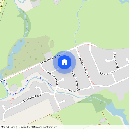 19 Wedgeleaf Place, Ashfield