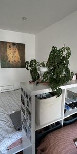 Location Appartement 1 pièce 33m² CHAMBERY 73000 - Photo 3