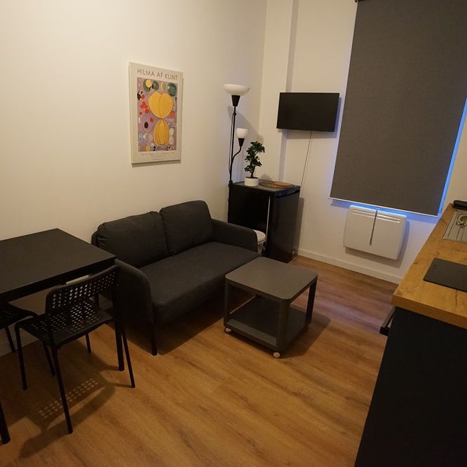 LILLE - APPARTEMENT - T1 BIS MEUBLE - Photo 1