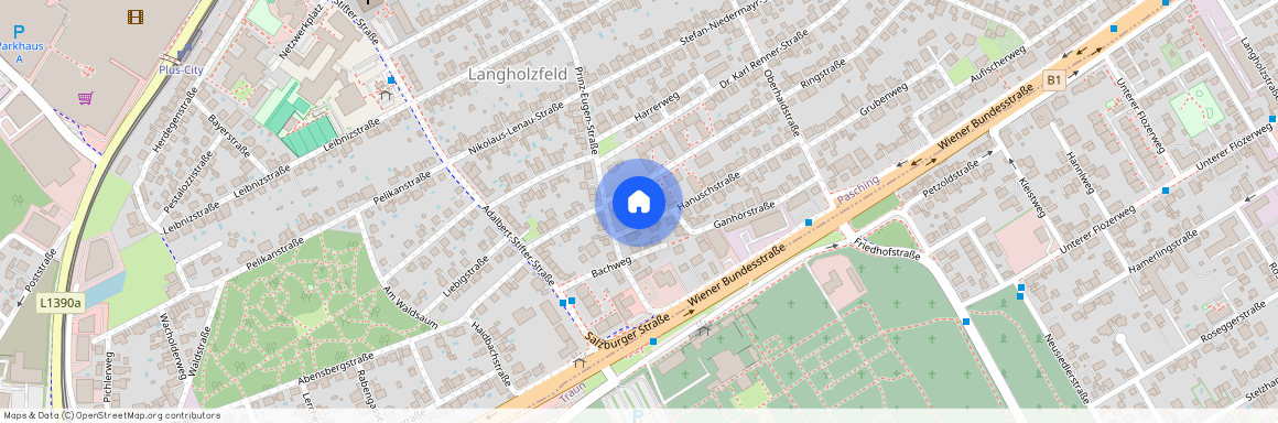 Hanuschstraße 22-4, 4061 Pasching