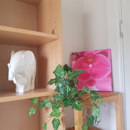 Dover Gardens - Photo 2