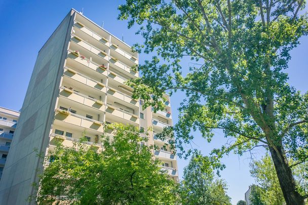 Ebenerdig erreichbare 1-Raum-Wohnung mit Wanne - Foto 1