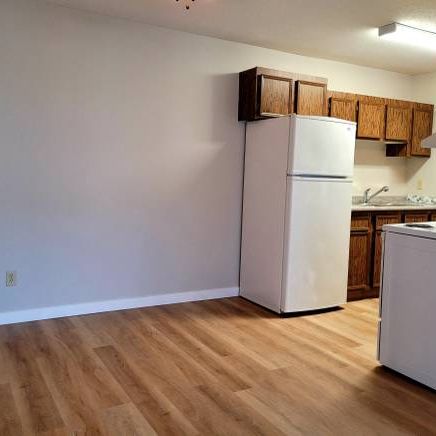 1 Bed 1 Bath Available! - Photo 3