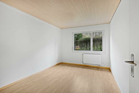 Heidenerstrasse 66, 9450 Altstätten SG - Photo 4