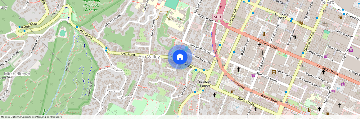 44 Aro Street, Aro Valley, Wellington City