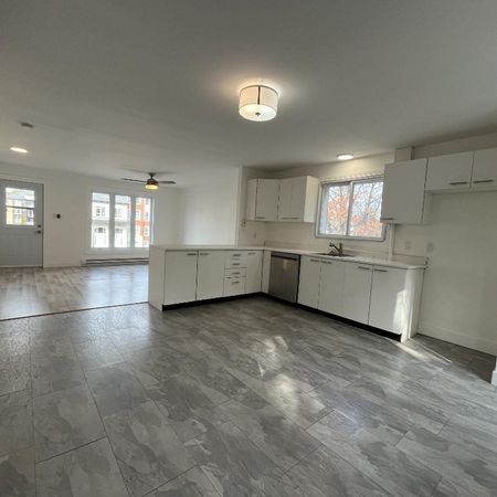 Beau grand 4 et demi lumineux et tranquille - Photo 4