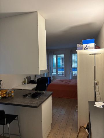 Pleasant furnished studio in the Plainpalais/HUG Hospitals area - Foto 2