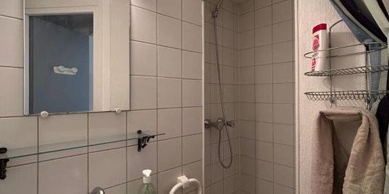 Location Appartement 1 pièce Meublé 13m² AIRE SUR L ADOUR 40800 - Photo 3