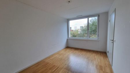 3.5 Zimmer Wohnung - Photo 5