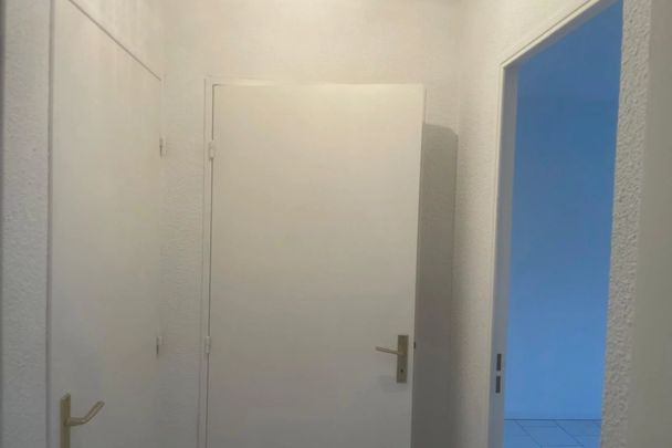 F2 Lumineux Nouvellement rénové - Photo 1