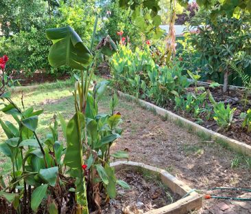 Kensington - Photo 5