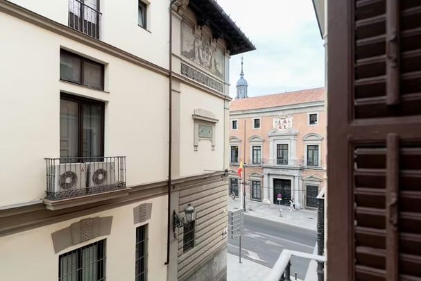 Calle Mayor, Madrid, Community of Madrid 28013 - Photo 1