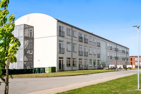 Attraktive studieboliger i Kolding - Photo 4
