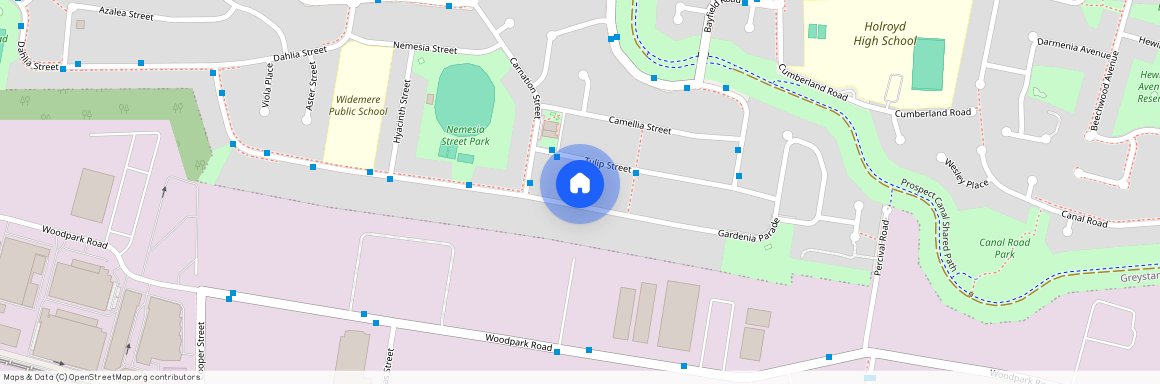 100 Gardenia Parade, NSW 2145, Greystanes