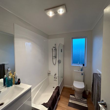 Near New Two Bedroom! Paengaroa - Photo 4