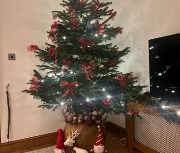 Room in a Shared House, Thursley Gardens, SW19 - Photo 3