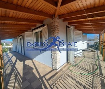 Μονοκατοικία για ενοικίαση Άγιος Παντελεήμονας (Μαραθώνας) - Φωτογραφία 5