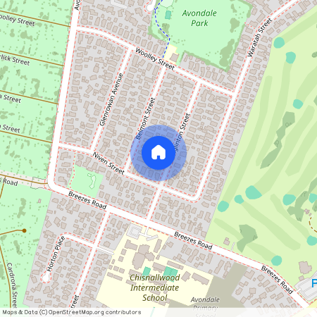 11A Eglinton Street, Avondale