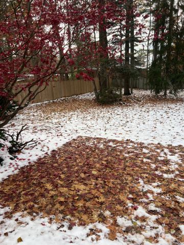 For Lease - 224 Park Avenue, East Gwillimbury, Ontario - Photo 2