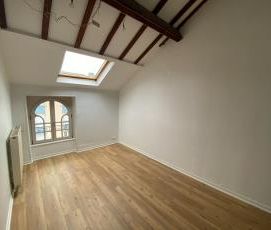 Location Appartement 1 pièce 31m² EPINAL 88000 - Photo 5
