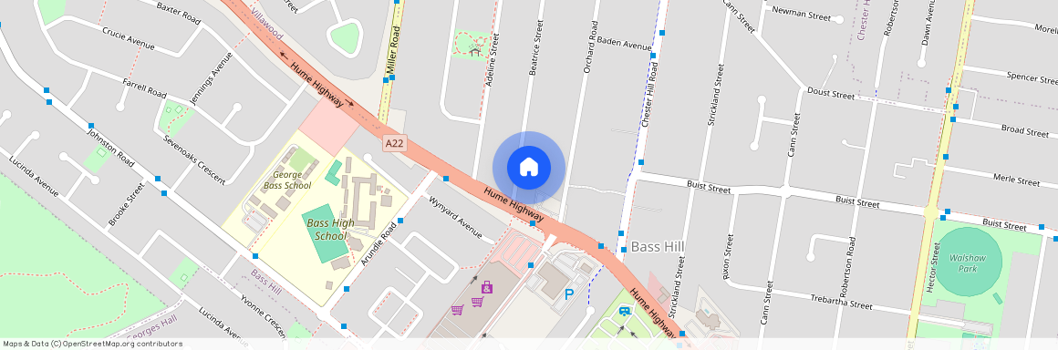 6 Beatrice Street Bass Hill, NSW 2197