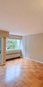 Beautiful Pet Friendly Large Studio + Den In The West End - Photo 3