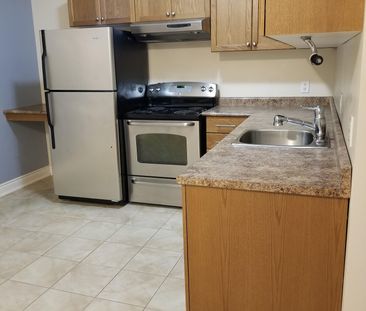 For Lease - 24 Manor Haven Road Unit# BSMT, Toronto, Ontario - Photo 5