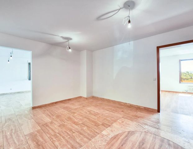 +++ Beste Wohnlage - Erdgeschoss mit fantastischem Fernblick - Süd-Balkon in Hanglage - inklusive Garage +++ - Foto 1