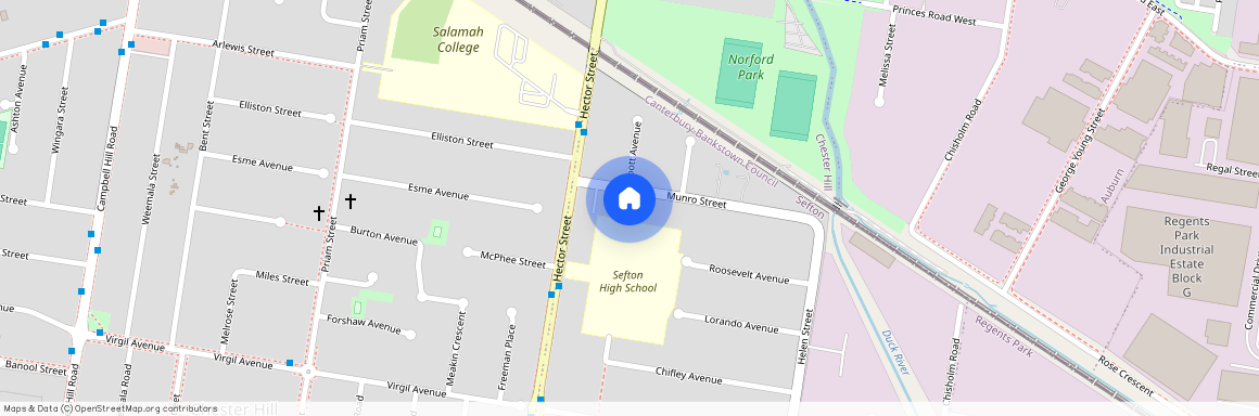 41 Munro Street, NSW 2162, Sefton